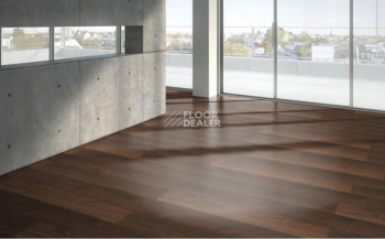 Parador Basic Plus 200 1426419 Грецкий Орех фото 2 | FLOORDEALER